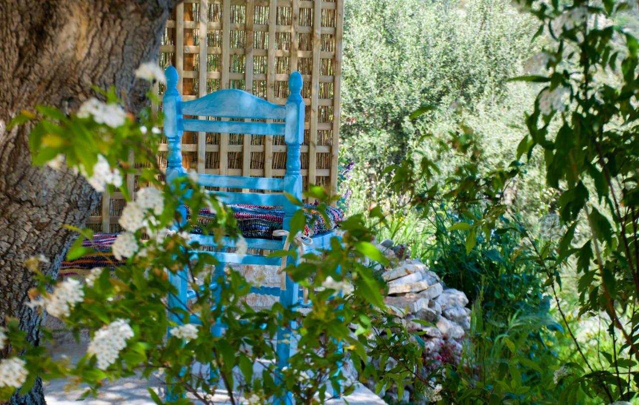 The Olive Cottage - Ithaca Vathy  Luaran gambar