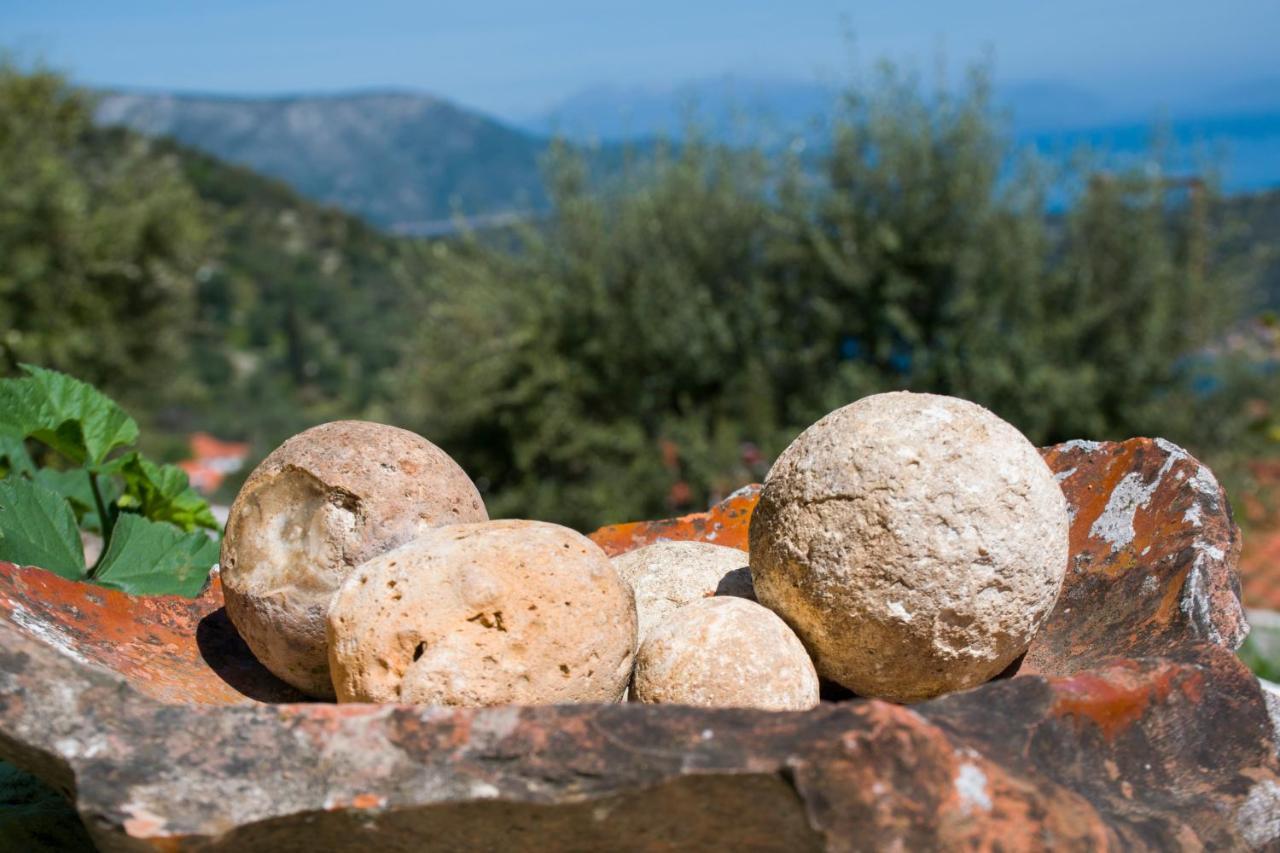 The Olive Cottage - Ithaca Vathy  Luaran gambar